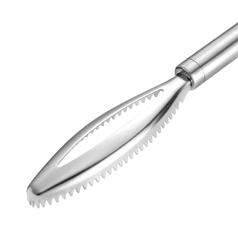Stainless Steel Fish Scale Remover Tool