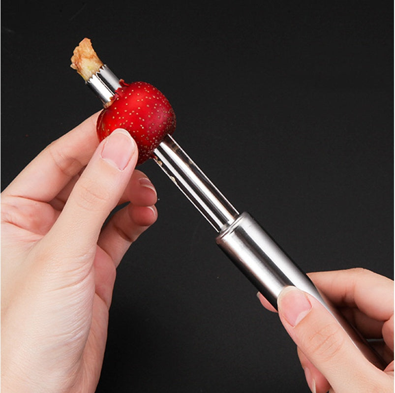 Stainless Steel Pineapple Fruit Peeler & Cutter