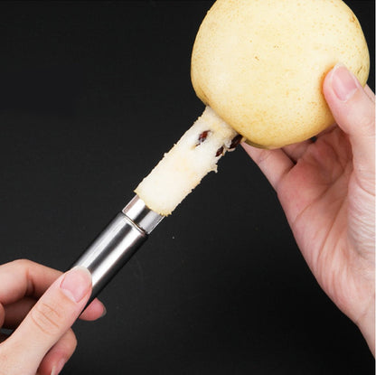 Stainless Steel Pineapple Fruit Peeler & Cutter